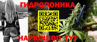 apvp Обь