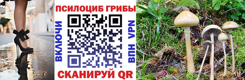 Галлюциногенные грибы прущие грибы  Омск 
