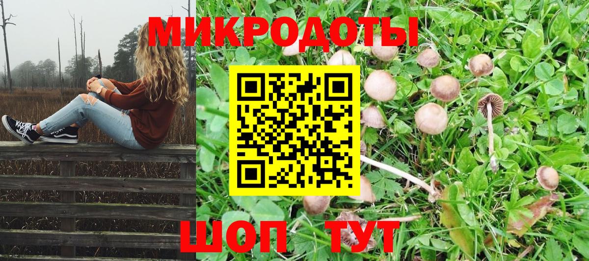 Псилоцибиновые грибы Cubensis Омск